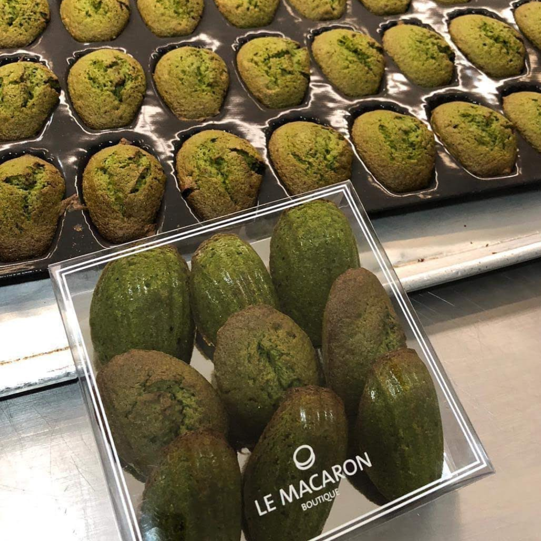 Diseño sin título - 2024-08-01T160837.443