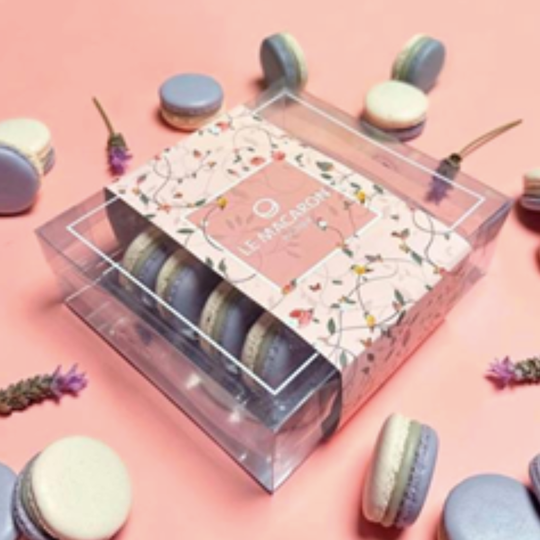 Diseño sin título - 2024-08-08T120135.017